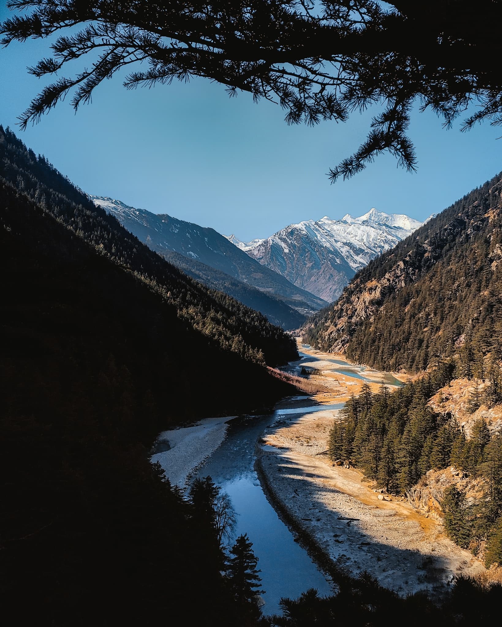 Harshil Valley & Gangotri: The Complete Guide to Uttarkashi's Hidden Village
